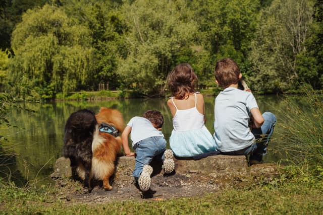 Photo de famille en extérieur, Périgord