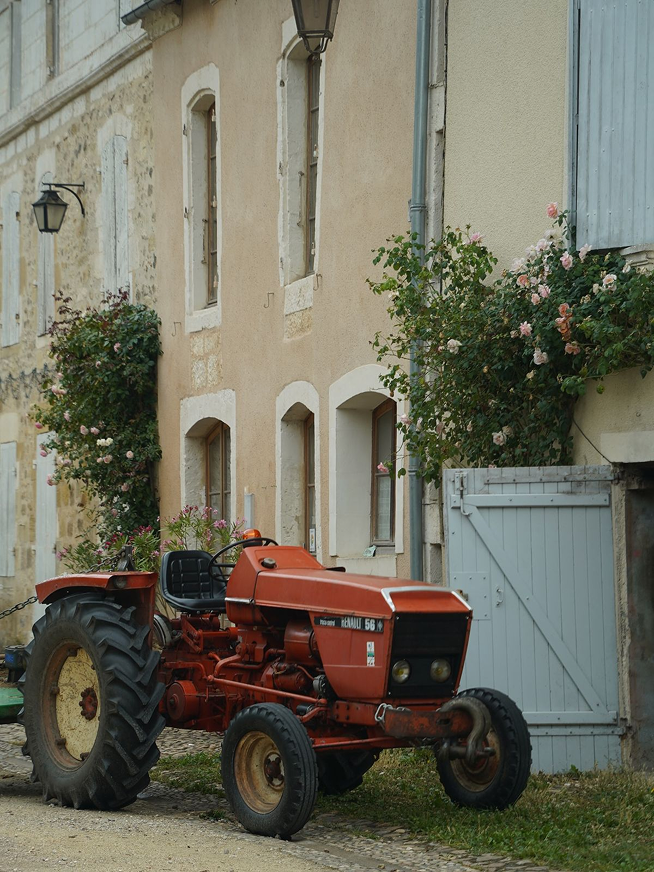 Tracteur rouge ancien devant une maison en pierre avec volets bleus et rosiers en Dordogne